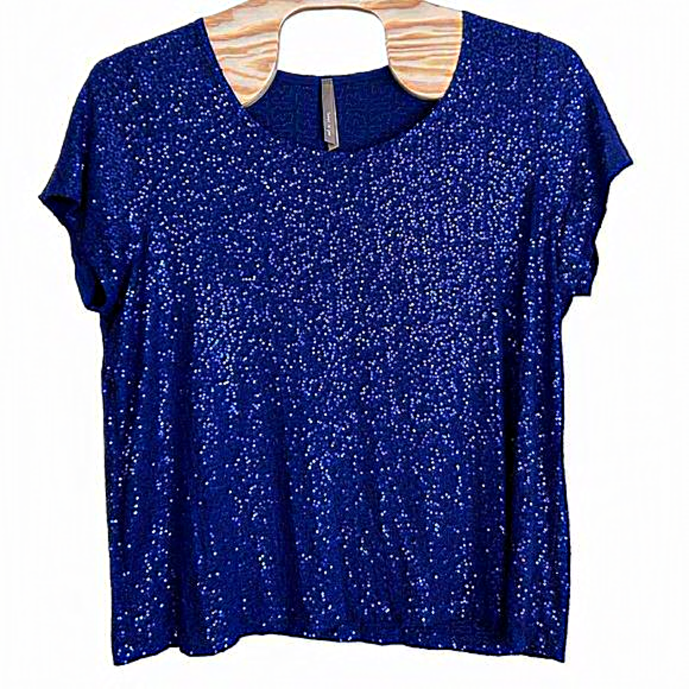 EUC Penningtons Royal blue sequin short sleeve top size 3X